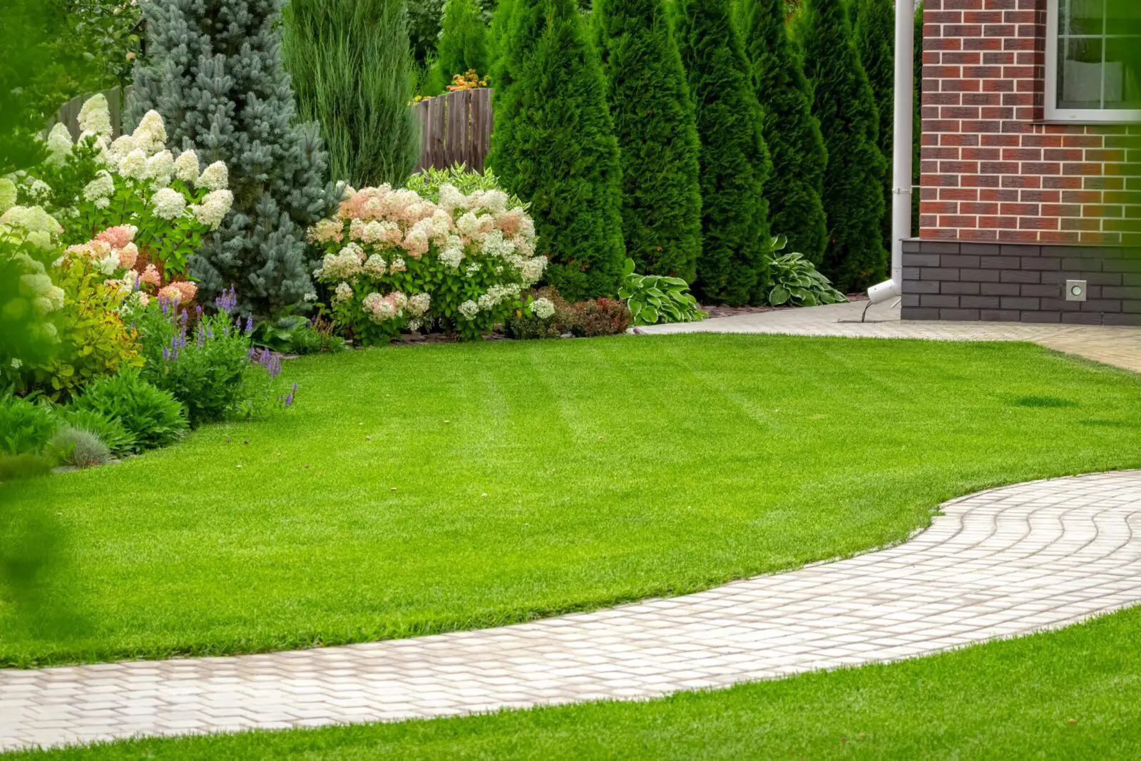 Green lawn with a brick pathway going through it and garden in the background. Corner of brick house also in the background.