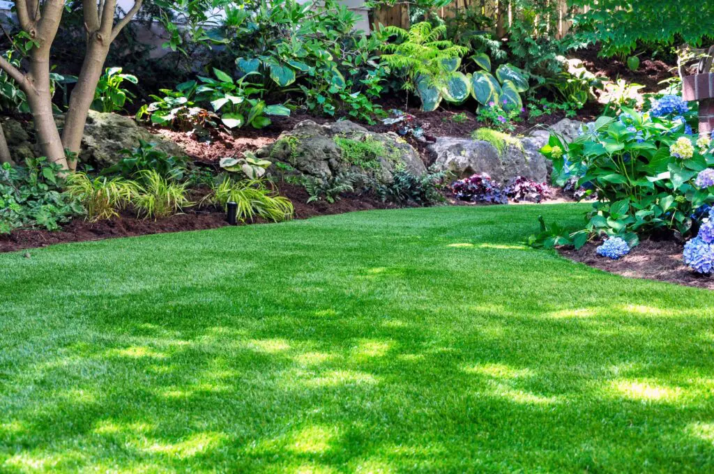 Close up of shaded green lawn with some a garden in the background.