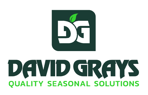 David gray logo