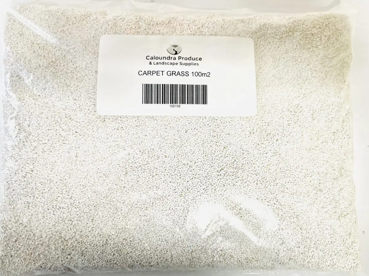 Agricote Carpet Grass 1kg