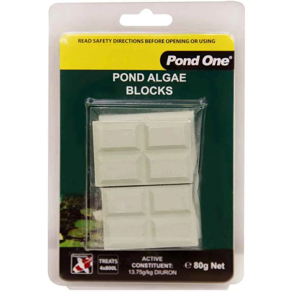 Algae block essentials for fish use