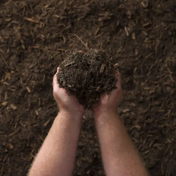 Tea Tree Mulch (1m3) - Image 2