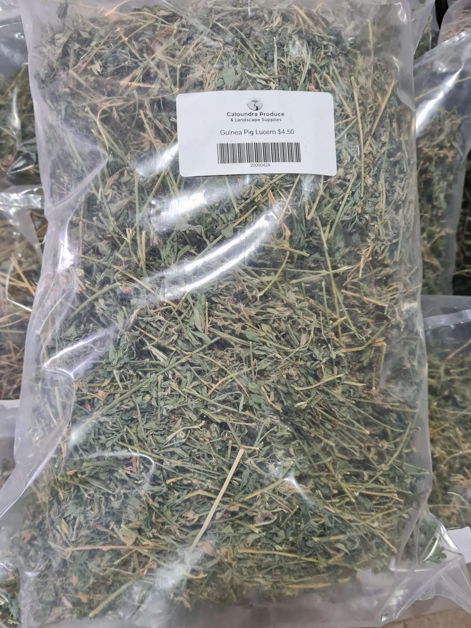 Guinea Pig Lucern Bagged