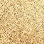 Avigrain White French Millet 20kg - Image 2