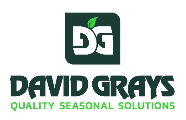 David gray logo
