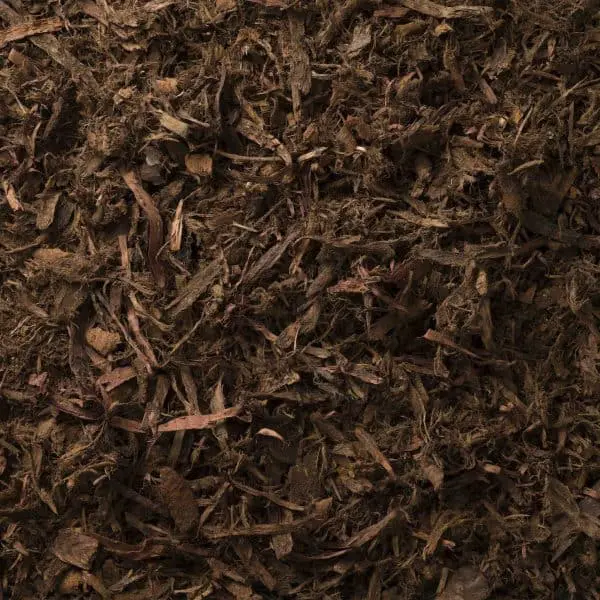 Hoop Pine 1" (1m3) - Image 2