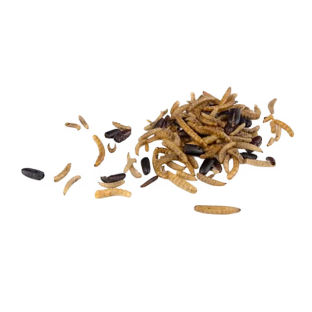 Dried Mealworm & Bug Mix - Image 2