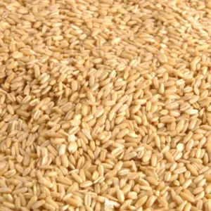 Avigrain Hulled Oats 2kg - Image 2