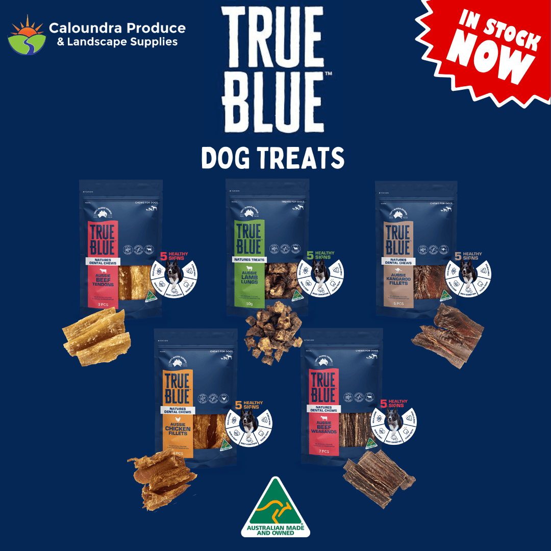 TRUE BLUE DOG AUSSIE BEEF TENDONS 3PK - Image 4